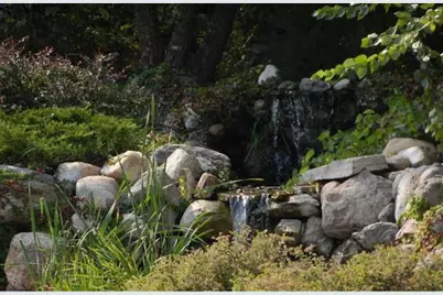 2945 County Road 4 #119 SW, Cokato, MN 55321 - Photo 4