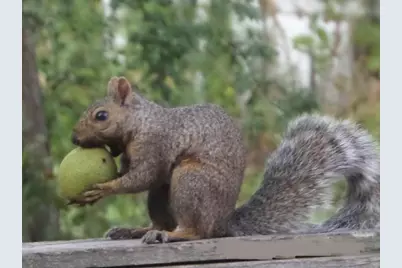 2945 County Road 4 SW #109, Cokato, MN 55321 - Photo 20