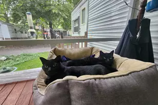 2945 County Road 4 SW, Cokato, MN 55321 - Photo 38