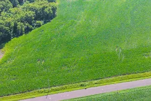 E2044 770th Ave, Knapp, WI 54749 - Photo 58