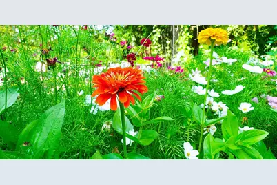 E2044 770th Avenue, Knapp, WI 54749 - Photo 50