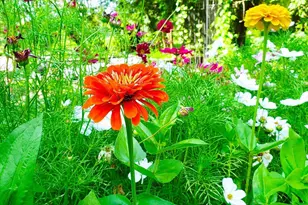 E2044 770th Ave, Knapp, WI 54749 - Photo 50