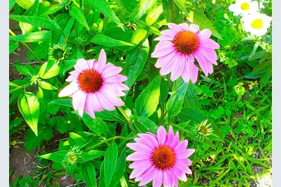 E2044 770th Avenue, Knapp, WI 54749 - Photo 52