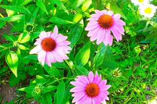 E2044 770th Ave, Knapp, WI 54749 - Photo 52