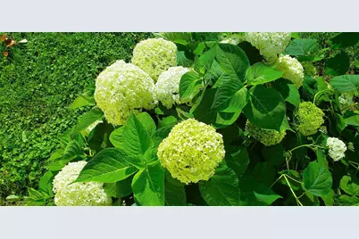 E2044 770th Avenue, Knapp, WI 54749 - Photo 68