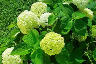 E2044 770th Ave, Knapp, WI 54749 - Photo 68