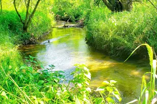 E2044 770th Ave, Knapp, WI 54749 - Photo 76