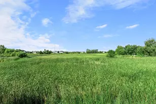 12202 Opal St NE, Blaine, MN 55449 - Photo 38