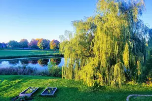 830 6th St NW, Maple Lake, MN 55358 - Photo 46