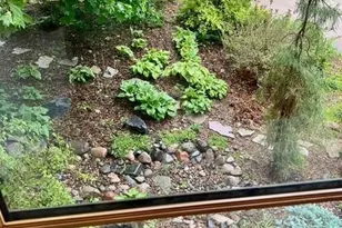 44 Thomas Ave S, Minneapolis, MN 55405 - Photo 38