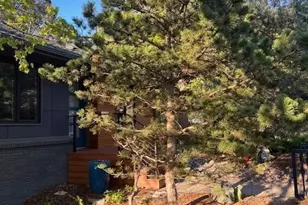 44 Thomas Ave S, Minneapolis, MN 55405 - Photo 36