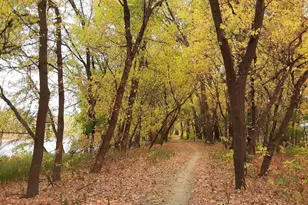 10341 Clinton Ave S, Bloomington, MN 55420 - Photo 32