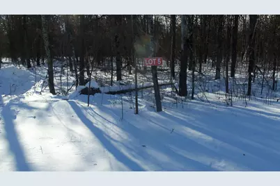 Lot 5 Cnute Creek Trl, Grantsburg, WI 54840 - Photo 12