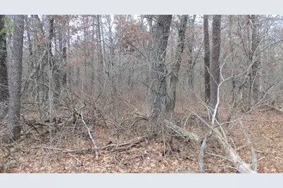 Lot 5 Cnute Creek Trl, Grantsburg, WI 54840 - Photo 4