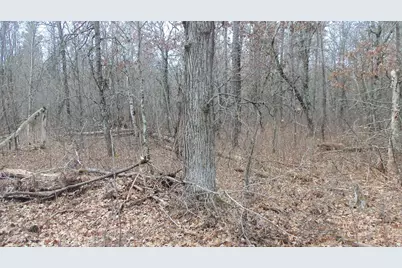 Lot 5 Cnute Creek Trl, Grantsburg, WI 54840 - Photo 6