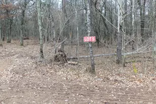 Lot 5 Cnute Creek Trail, Grantsburg, WI 54840 - Photo 1