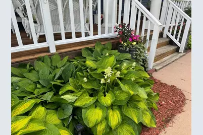 425 Prospect Street, Peterson, MN 55962 - Photo 38