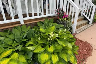 425 Prospect St, Peterson, MN 55962 - Photo 38