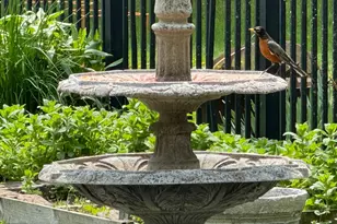 425 Prospect St, Peterson, MN 55962 - Photo 38