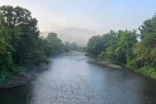 425 Prospect St, Peterson, MN 55962 - Photo 44