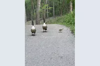 1467 Summit Shores E, Burnsville, MN 55306 - Photo 24