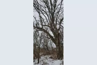 15737 403rd Avenue, Canton, MN 55922 - Photo 10