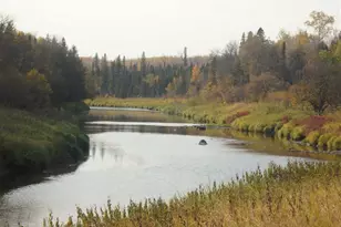 10705 Hwy 65, Gheen, MN 55771 - Photo 38