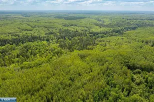 10705 Hwy 65, Gheen, MN 55771 - Photo 30