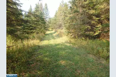 10705 Highway 65, Gheen, MN 55771 - Photo 42