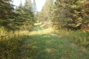 10705 Hwy 65, Gheen, MN 55771 - Photo 42