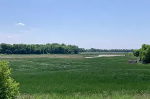 13678 Ringneck Wy, Rogers, MN 55374 - Photo 14