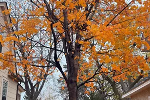 4506 Wentworth Ave, Minneapolis, MN 55419 - Photo 26