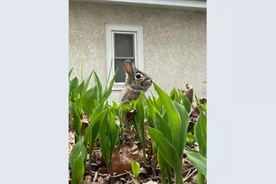 4506 Wentworth Avenue, Minneapolis, MN 55419 - Photo 32