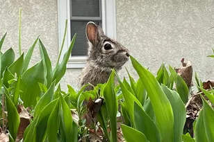 4506 Wentworth Ave, Minneapolis, MN 55419 - Photo 32