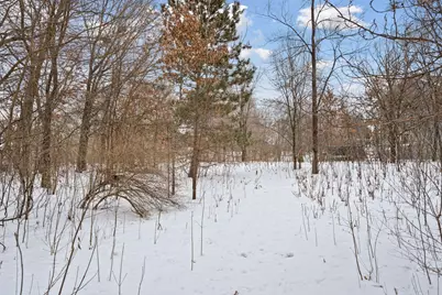 701 Parkview Lane, Champlin, MN 55316 - Photo 52