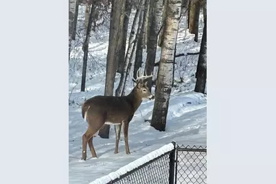 14545 Grand Oaks Drive, Baxter, MN 56425 - Photo 36