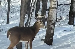 14545 Grand Oaks Dr, Baxter, MN 56425 - Photo 36