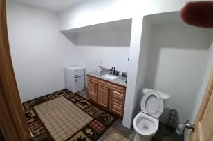 50164 County 29, Bemidji, MN 56601 - Photo 48