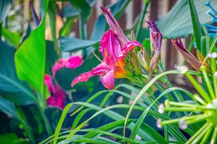 2955 St Onge Dr NE, Bemidji, MN 56601 - Photo 68