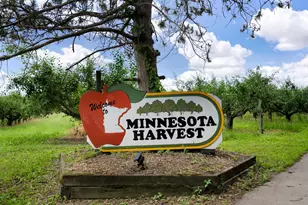 1272 Edge Wy, Jordan, MN 55352 - Photo 18