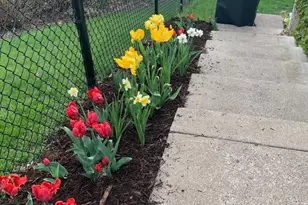 4017 Shoreline Dr, Robbinsdale, MN 55422 - Photo 50