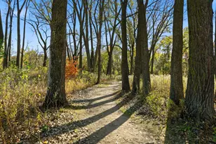 7329 Fremont Ave S, Richfield, MN 55423 - Photo 42