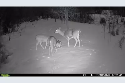 16921 Vickers Street NE, Andover, MN 55304 - Photo 52