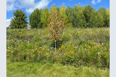 1106 Meadow Lane, Waconia, MN 55387 - Photo 50