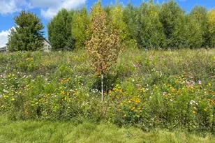 1106 Meadow Ln, Waconia, MN 55387 - Photo 50