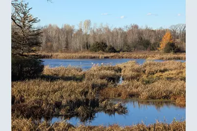 13966 346th Court, Lindstrom, MN 55045 - Photo 54
