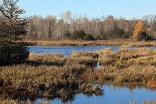 13966 346th Ct, Lindstrom, MN 55045 - Photo 54