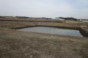 803 3rd Ave NW, Pine Island, MN 55963 - Photo 6