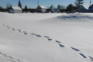 4618 Madison St, Bruno, MN 55712 - Photo 6