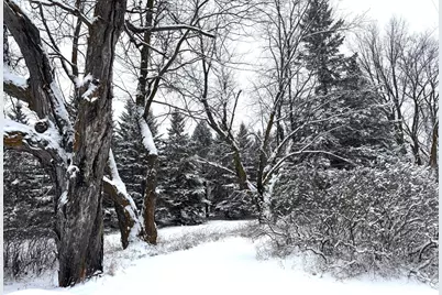 30400 650th Avenue, Warroad, MN 56763 - Photo 16